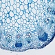 Binocular Biological Microscope